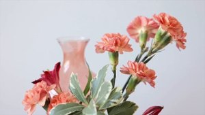 8903881-hd_1920_1080_30fps