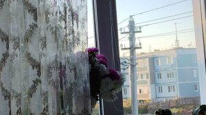 в деревне наступает вечер, жизнь в деревне