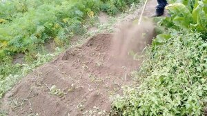 Новая игрушка