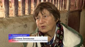 Соревнования «Живая тяга» прошли в Перевозском округе