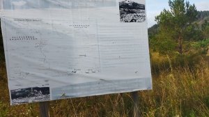 Ур. двойниши зигальга