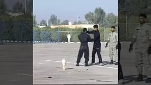 Крепкая ваза, можно брать 😆