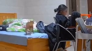 Прическа не очень