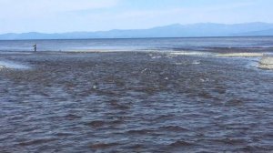 Охотское море