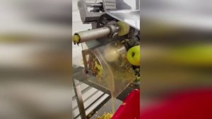 Станок для чистки и резки яблок