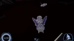 кролики из давление (правда милые?)