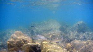 VID-20250820-WA0045 (1)