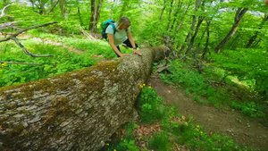 ГЕНЕРАЛЬСКОЕ - водопад ДЖУРЛА - ЛУЧИСТОЕ