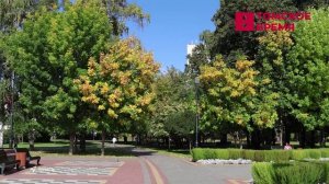 Большинство томичей испытывают осеннюю хандру