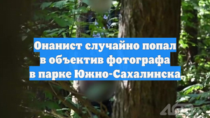Онанист случайно попал в объектив фотографа в парке Южно-Сахалинска