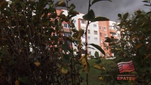 В Падунском районе сразу на трех территориях прошла масштабная акция "Посади дерево"