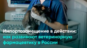 Импортозамещение в действии: как развивают ветеринарную фармацевтику в России