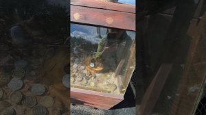 Выходной день,мини гольф, отдых, природа, вязание для начинающих, вязание крючком, вязание спицами