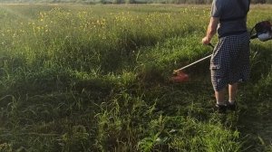 SG230-lite 4 тактная коса Стриж Лайт косим зелёную траву леской 2,4 мм.