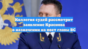 Коллегия судей рассмотрит заявление Краснова о назначении на пост главы ВС