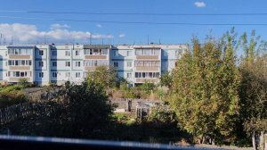 Любуюсь деревенскими пейзажами в окно