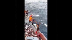 Клип @mem_archive