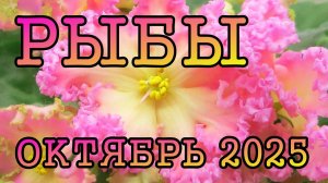 РЫБЫ таро прогноз на ОКТЯБРЬ 2025 года.