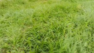 Влог
Два выходных дня. 🥑