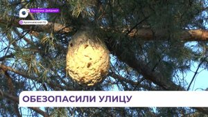 В Арсеньеве спасатели МЧС обезвредили опасных насекомых в оживлённом месте