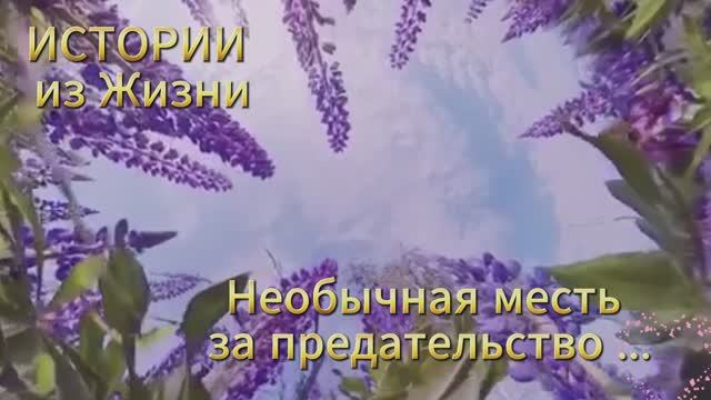 Удивительные истории из жизни слушать онлайн. Необычная месть за предательство...