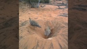 Когда устроился со своим бро на одну работу