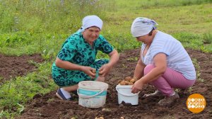 Старость меня дома не застанет! Я помогаю людям... Доброе утро. Фрагмент выпуска от 15.09.2025