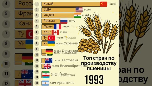 Как изменились лидеры по пшенице за 50 лет_ Топ стран по производству пшеницы (1961–2025)