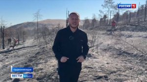Лесной пожар в посёлке Орджоникидзе локализован