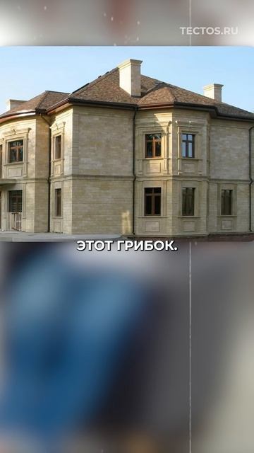 Дагестанский песчаник. Характеристика. #фасады #фасадызданий #тектос #вентилируемыйфасад смотреть онлайн