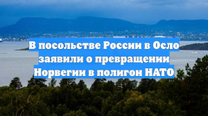 В посольстве России в Осло заявили о превращении Норвегии в полигон НАТО