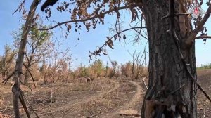 Саперы ГрВ «Южная» обеспечивают безопасность пользования логистическими маршрутами