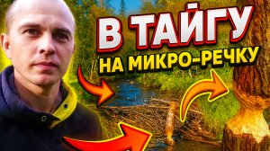 На рыбалку по микро речке. Новые места и красивая природа.