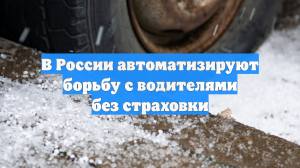 В России автоматизируют борьбу с водителями без страховки
