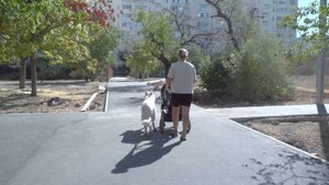 Ремонт пешеходной сети на улице Павла Корчагина завершили на 85%