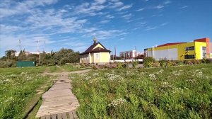 Продолжаю лечение/Магазины/Любимый город/Котики