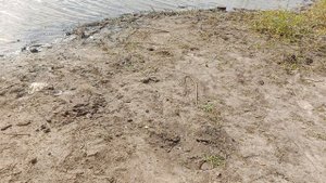 Рыбалка на озере круглом С КАЖДОГО ЗАБРОСА