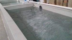 Техническая передержка для устриц. www.CoralFish.ru