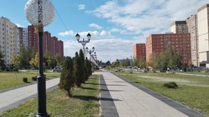 Как лягушки- путешественники. 15.09.25