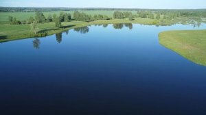 Новый пруд. Начало июня. Серия 1