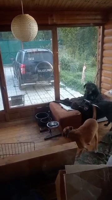 rutube.ru
