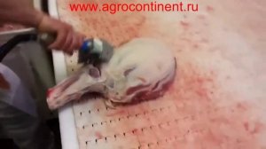 Шкуросъёмная машина ручная