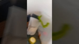 1000014388.mp4