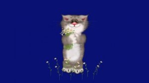 Кот собирает цветы
