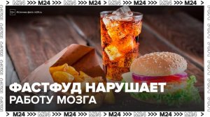 Ученые из США установили негативное влияние фастфуда на работу мозга - Москва 24