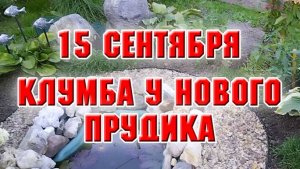 15 сентября. Зона у нового прудика преобразилась