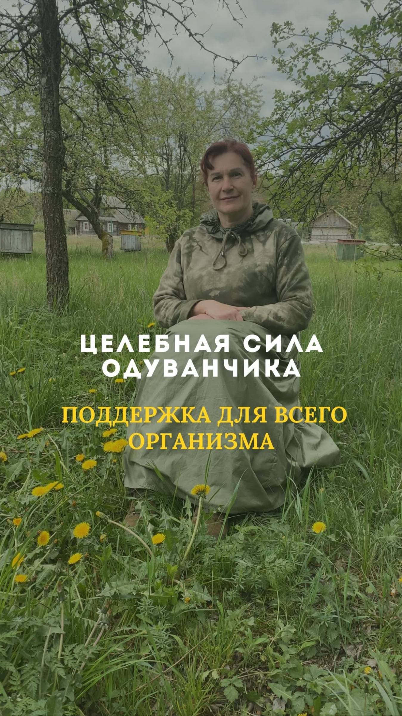 Целебная сила одуванчика смотреть онлайн