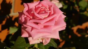 05=09=2025   Ю  КМР  (50)