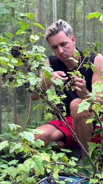 Сегодня такой день 😍 смотреть онлайн