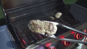 УТИНАЯ ГРУДКА И КРАФТОВЫЙ ЕЖЕВИЧНЫЙ БАРБЕКЮ СОУС НА ГАЗОВОМ ГРИЛЕ PRIMELINER!)
